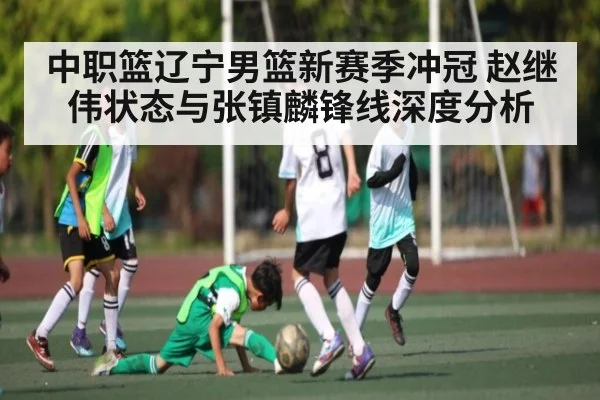中职篮辽宁男篮新赛季冲冠 赵继伟状态与张镇麟锋线深度分析 | kaiyun